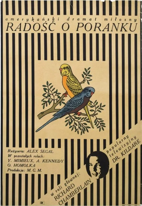 Original vintage Polish movie poster for Joy in the Morning, starring Richard Chamberlain